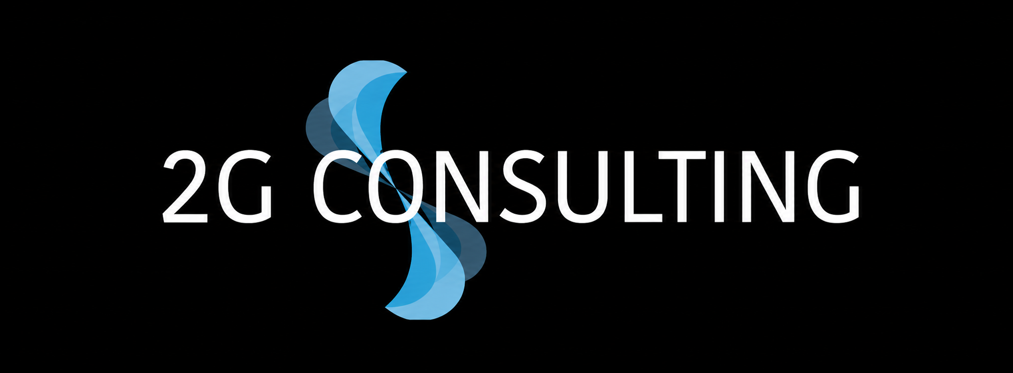 2G Consulting logo